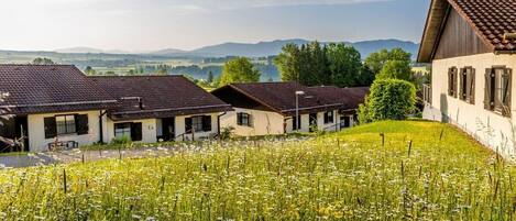 A row of traditional houses with a grassy field in the foreground and a mountain range in the background.