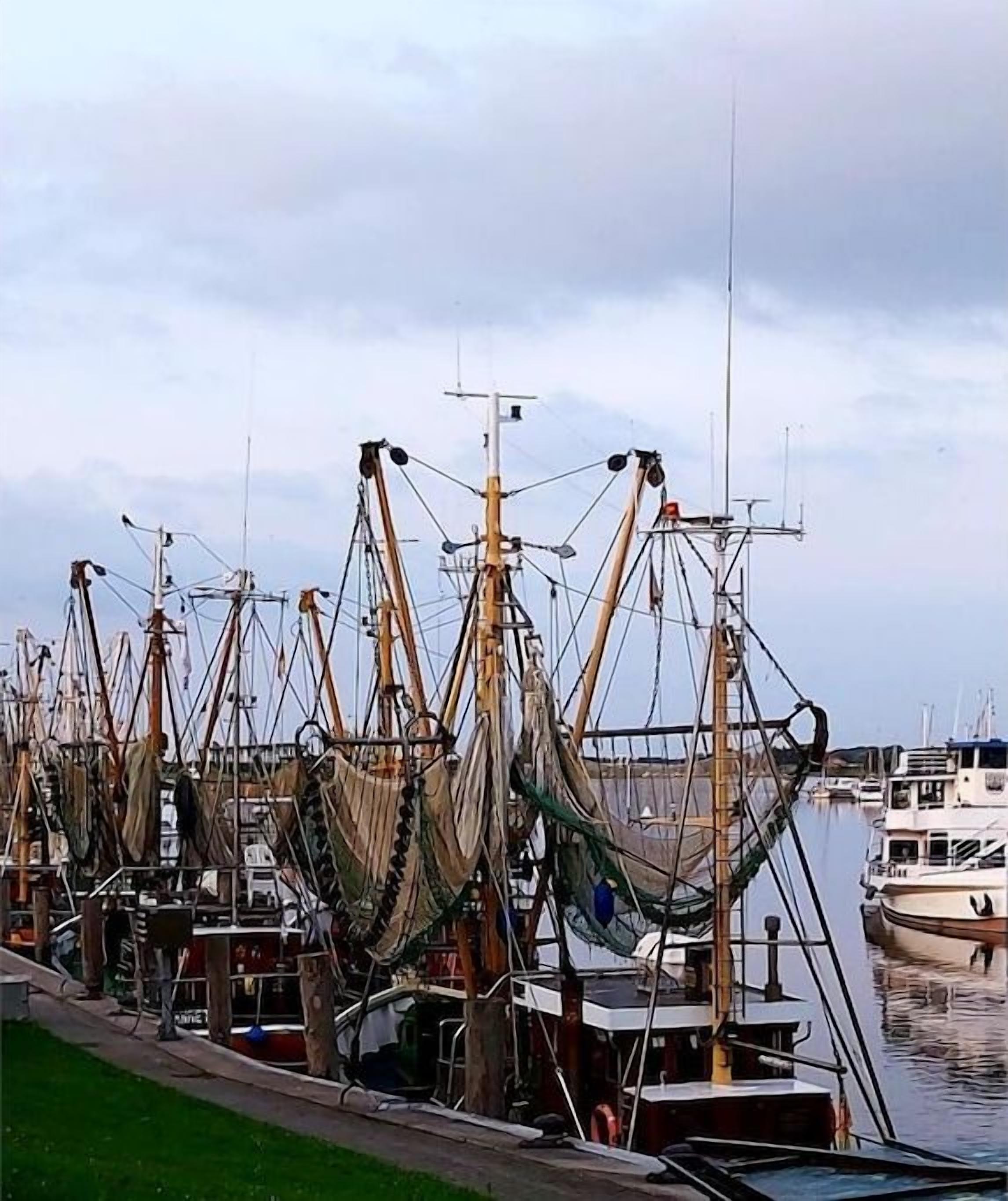 A marina with multiple fishing boats docked, featuring masts and nets.