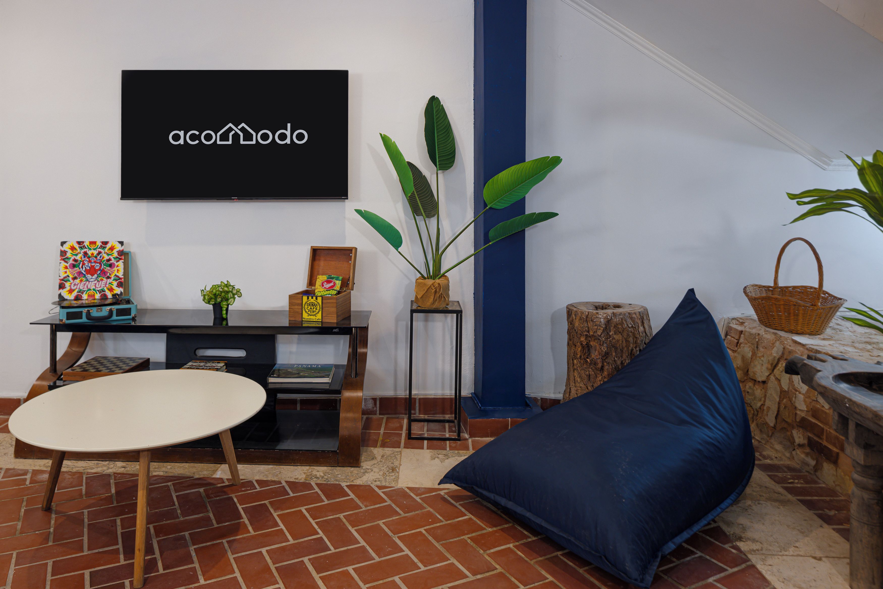 A living room with a flat-screen TV, a coffee table, a blue sofa, a plant, and a bookshelf.