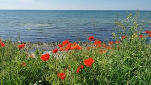 A coastal landscape with a view of the sea and a field of red poppies in the foreground. - Farm in Dahme with sauna and Wi-Fi (Dahme)