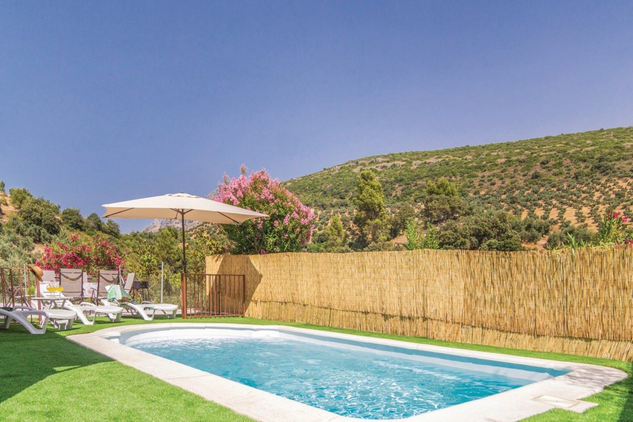 A swimming pool with a wooden fence, lounge chairs, and a pergola with an umbrella.