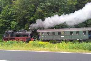 A steam locomotive with passengers on a train traveling through a forested area. - Hex"nhäusla in Aufseß (Aufseß)