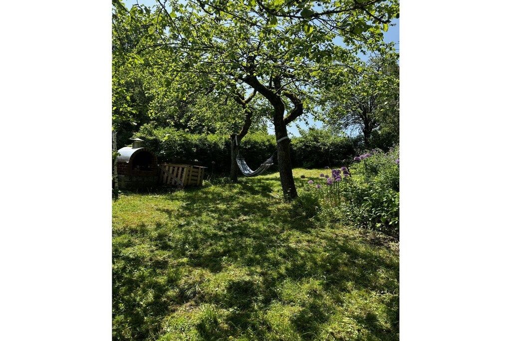 Un hamac est suspendu entre deux arbres dans une zone herbeuse, avec une petite construction en arrière-plan.