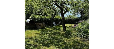 A hammock tied between two trees in a grassy area with a small structure in the background.