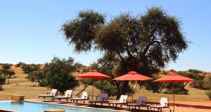 Intu Africa / Zebra Lodge
