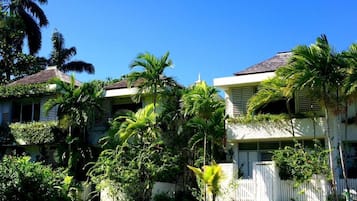 A residential area with two-story houses, a white fence, and lush greenery including palm trees.