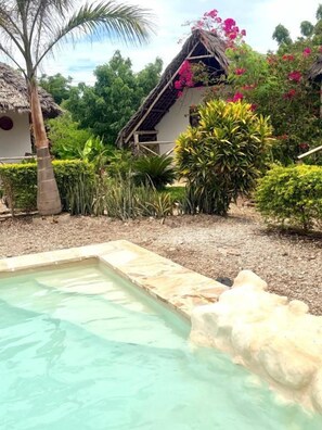 Una piscina con borde de piedra, rodeada de plantas tropicales y una estructura con techo de paja.