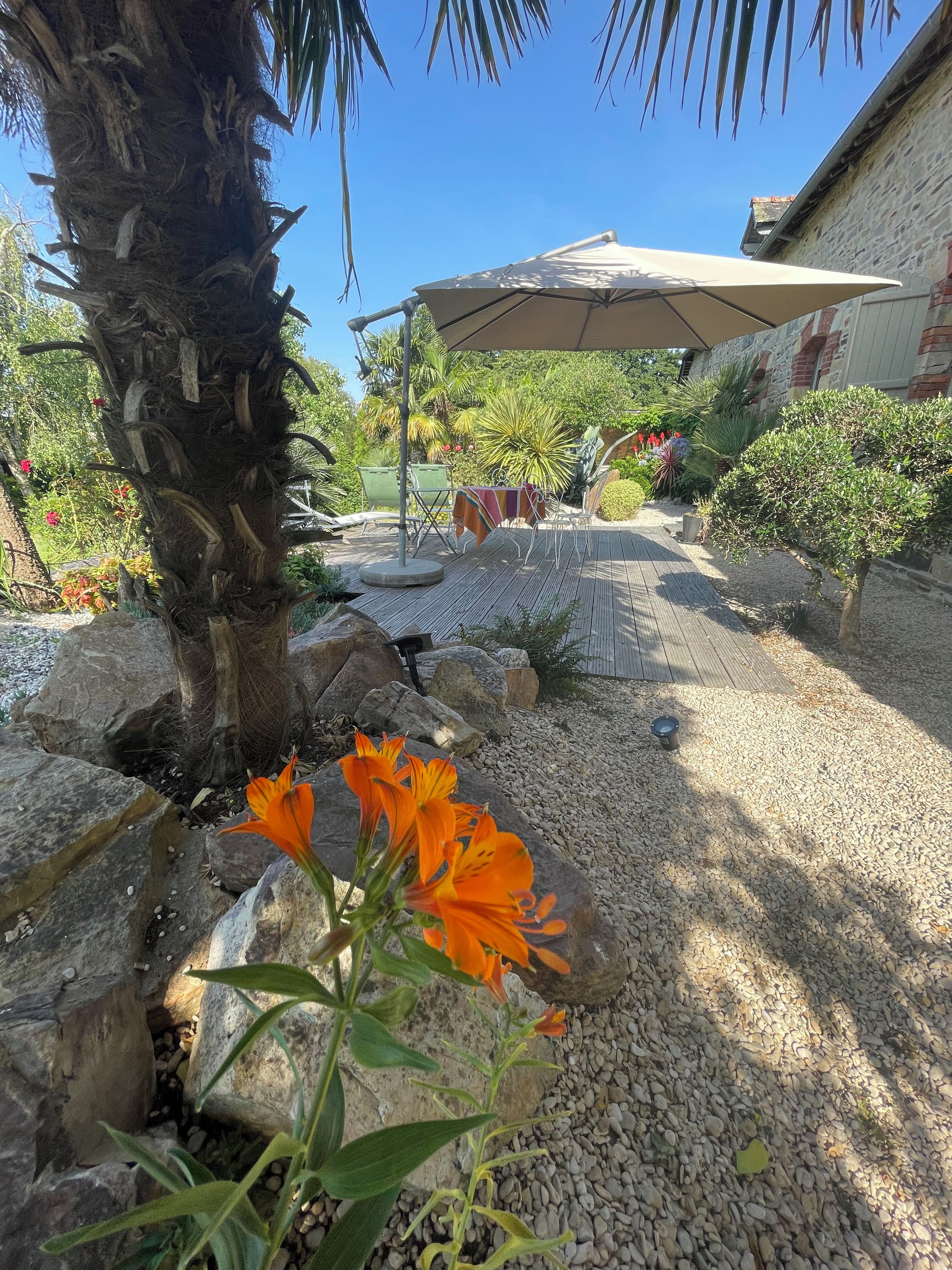 Un espacio al aire libre con mesa y sillas bajo una pérgola, rodeado de rocas y plantas.