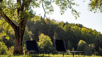 Two black metal chairs under a tree in a grassy area with a forested hill in the background.