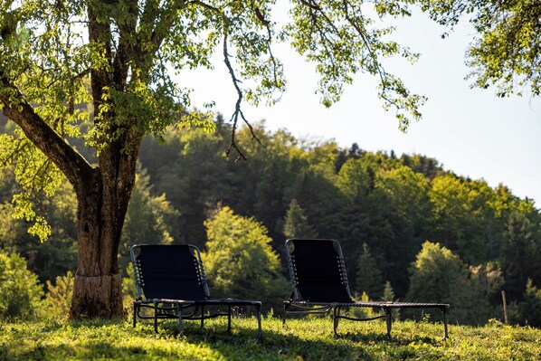 Two black metal chairs under a tree in a grassy area with a forested hill in the background.