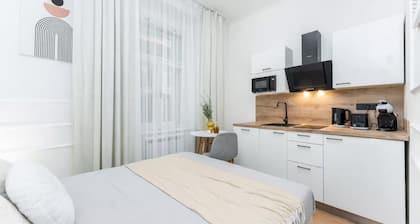 Modern studio with AC in the heart of Prague