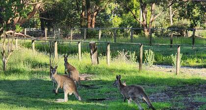 Farm House - Yarra Valley