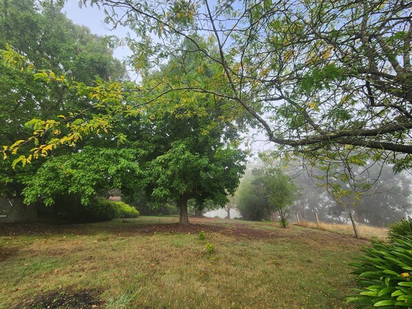 A park with a large tree, grassy areas, and a foggy background. - Farm House - Yarra Valley (Woori Yallock)