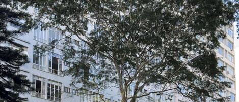 A multi-story residential building with balconies, a tree in the foreground, and a gated entrance.