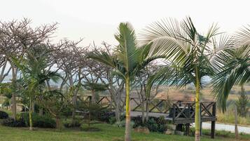 Un jardín con palmeras y una estructura de madera.
