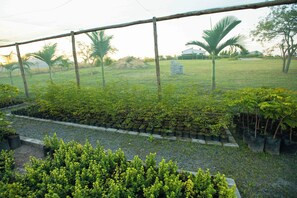 Un invernadero con hileras de plantas en macetas y una zona verde con árboles al fondo.
