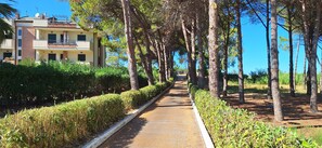 A pathway lined with trees and a building with balconies.