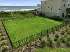 A well-maintained lawn with a black metal fence, a building with multiple windows, and a view of the ocean. - The Beach House #226 - Luxury 8-Bedroom Oceanfront Rental w/ Private Pool (North Topsail Beach)