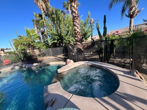 Ein Swimmingpool mit Whirlpool, umgeben von Palmen und Kakteen.
