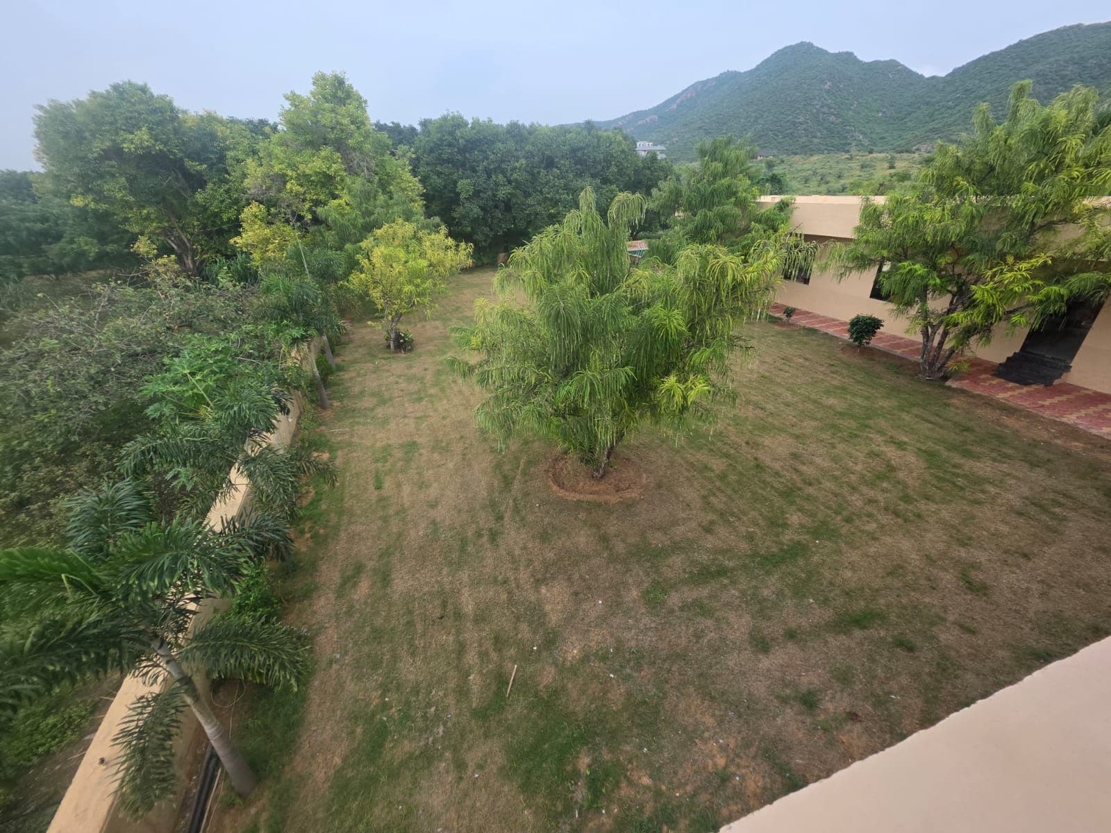 A courtyard with a grassy area, trees, and a mountain in the background.