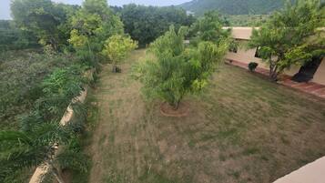 A courtyard with a grassy area, trees, and a mountain in the background.