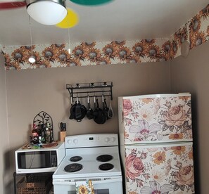 Private kitchen - Cozy 1-bedroom studio near WRHN, uptown Waterloo & downtown Kitchener (Waterloo)