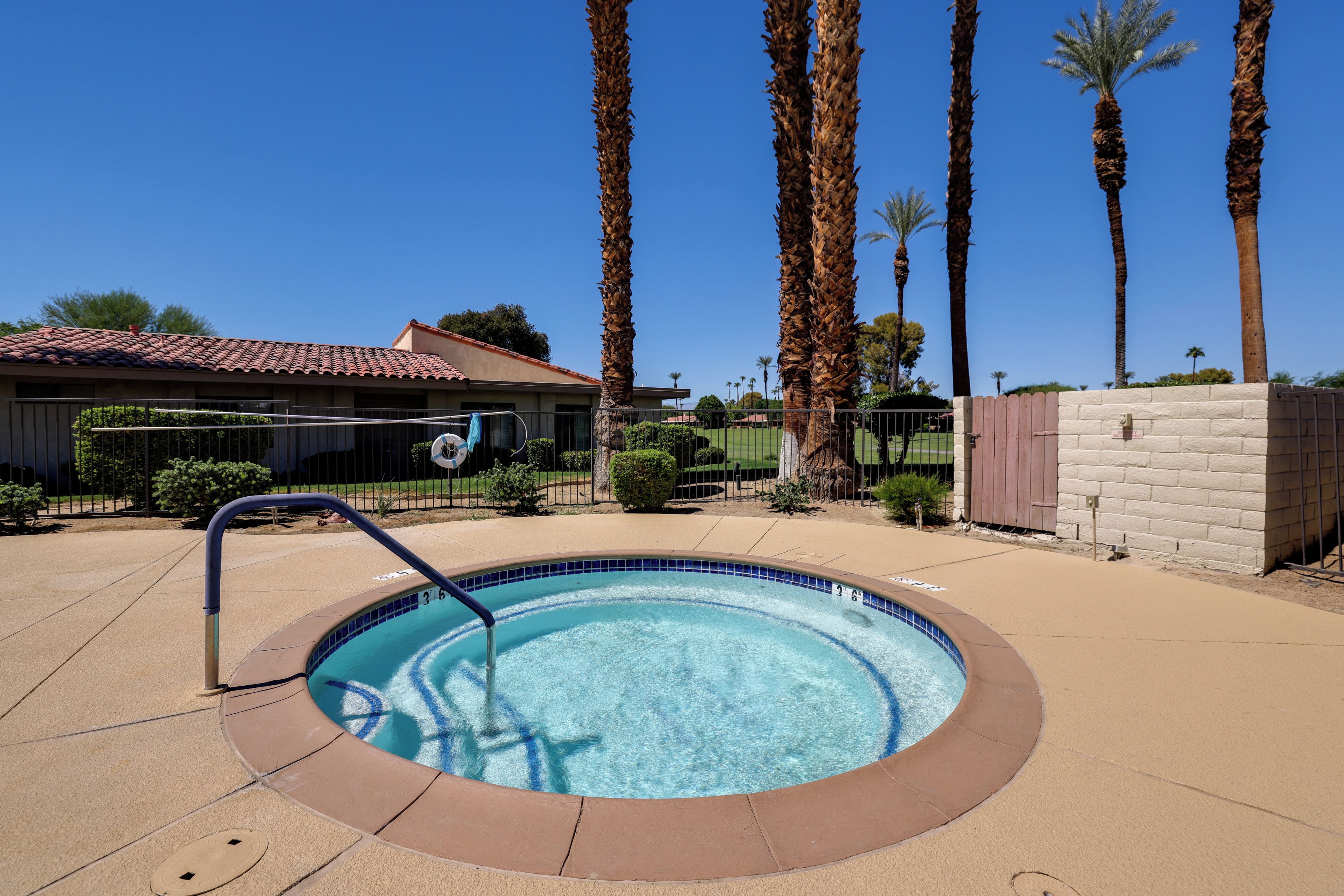 A swimming pool with a tiled edge, surrounded by a concrete deck, palm trees, and a building with a tiled roof in the background.