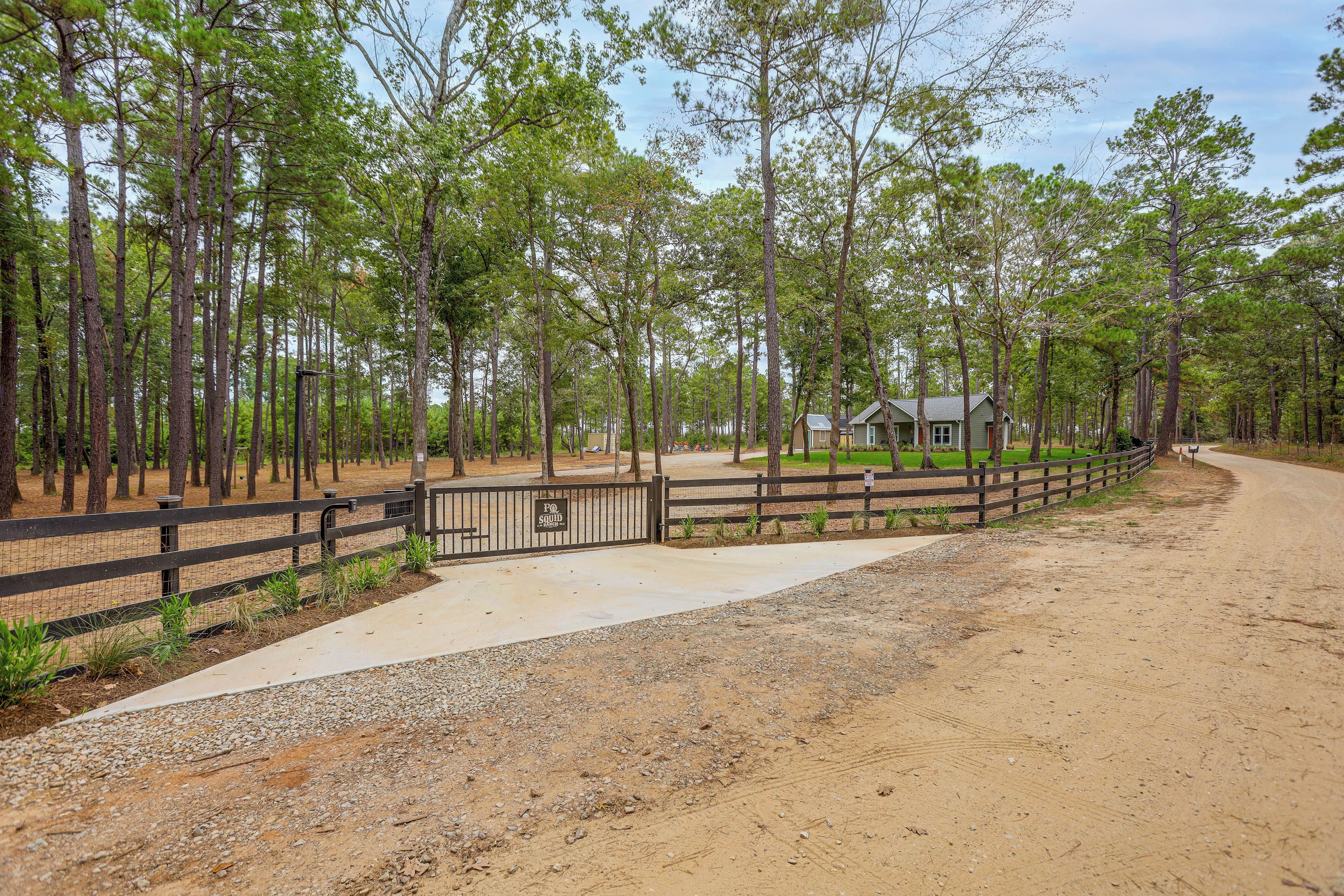 A rural property with a gravel driveway, a wooden fence, and a house surrounded by tall pine trees.