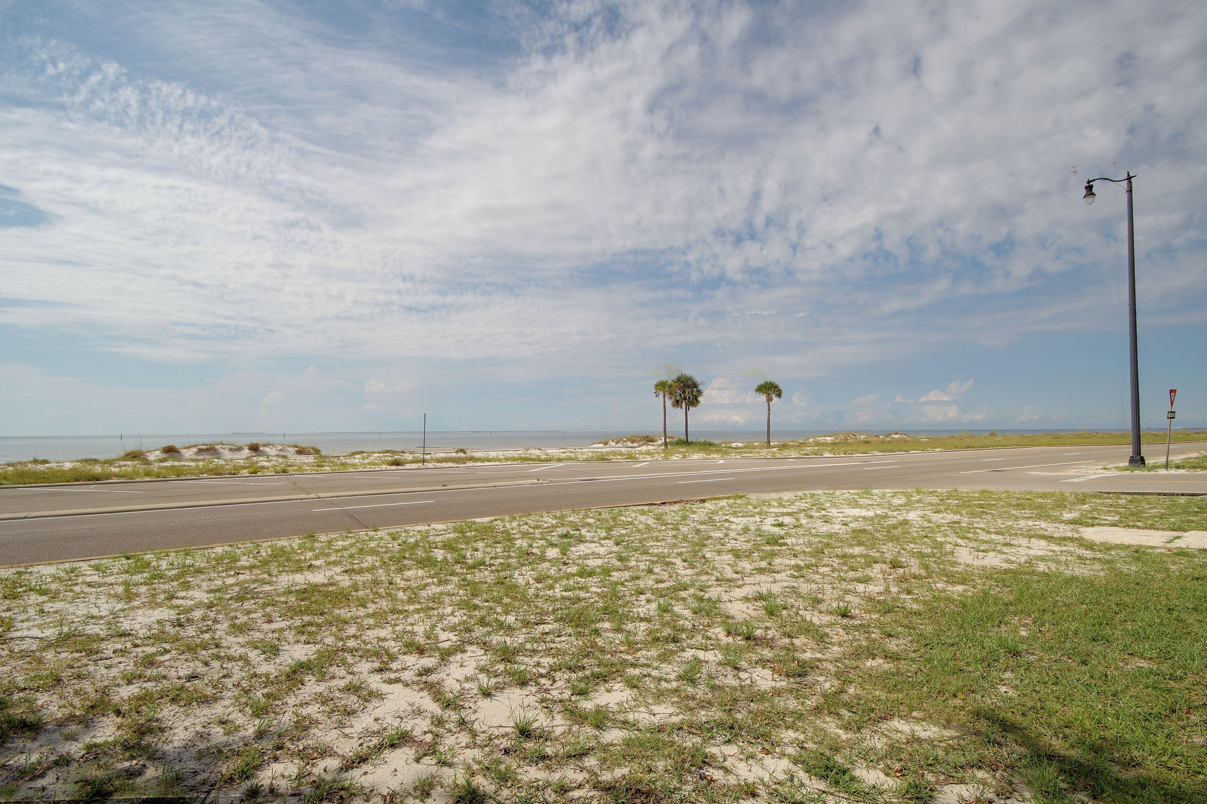 A coastal road with a clear sky, palm trees, and a sandy landscape.