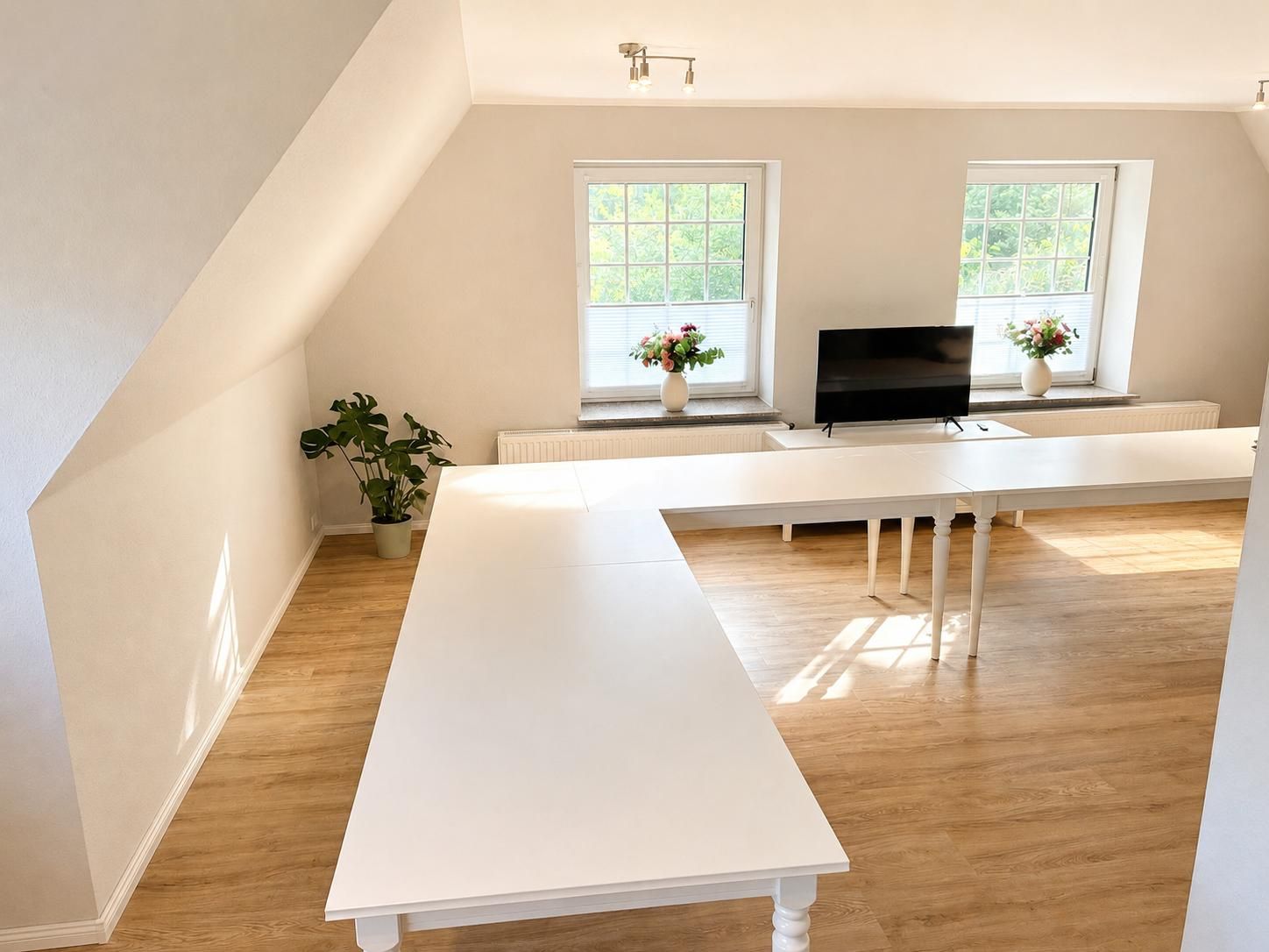 A modern, minimalist room with a white desk, two windows with blinds, a flat-screen TV, and a potted plant.