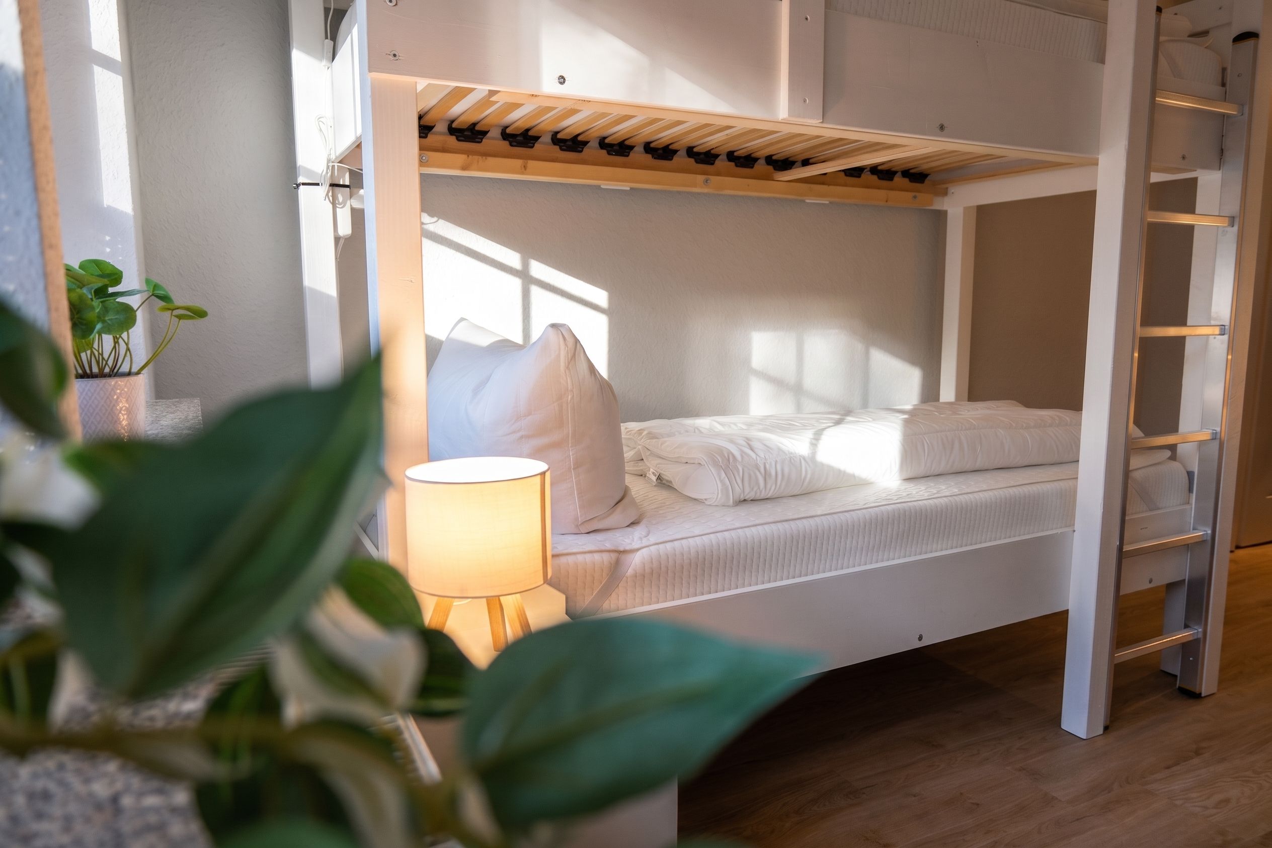 Un lit superposé avec une échelle, une lampe de chevet et une plante en pot.