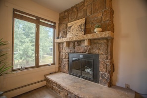 A stone fireplace with a glass door, a window with blinds, and a plant on the mantel. - Cv105 Copper Valley 1 Bedroom Condo (Copper Mountain)
