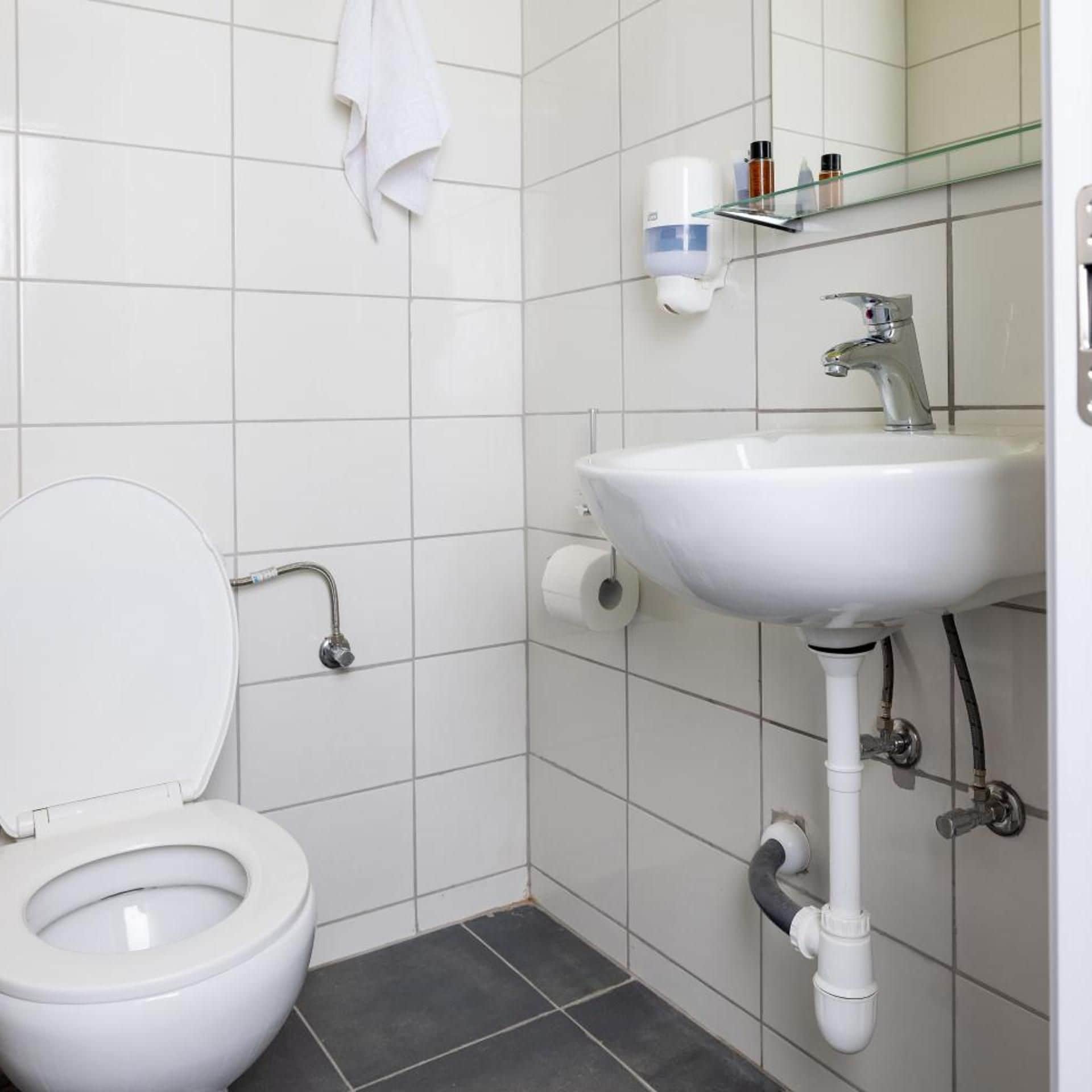 Une salle de bain avec des toilettes, un lavabo et une serviette accrochée au mur.