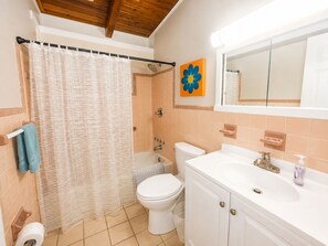 A bathroom with a shower curtain, toilet, sink, and a mirror. - Low Tide | Steps to Beach • Manasota Key Escape (Englewood)