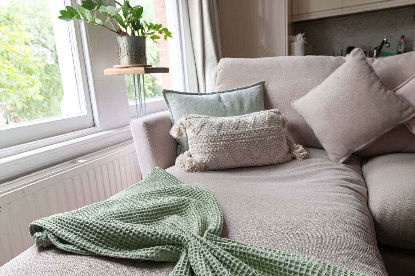 A sofa with a green knitted throw and pillows, a potted plant on a shelf, and a window with a view of greenery.