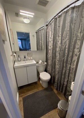 A bathroom with a toilet, sink, and mirror. - Fully Furnished 1BR + Parking | Harbord Village | 5 months: $3800/month Oct–Mar (Toronto)