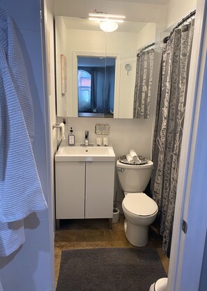 Une salle de bain avec des toilettes, un lavabo et un rideau de douche.
