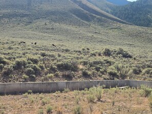 A natural landscape with a concrete barrier in the foreground. - Perfect 4-bedroom cabin near the mountains (Geneva)