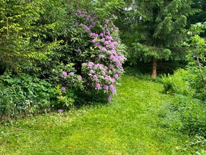 A lush garden with a variety of green shrubs and a tree with pink flowers. - Charming Apartment With Mountain Views in Nordenau for 6 (Schmallenberg)