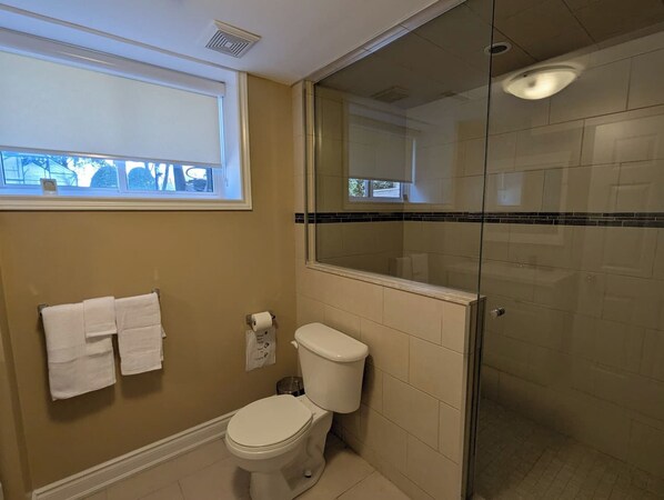 A bathroom with a toilet, a glass shower enclosure, and a window with a view.