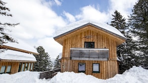 A wooden cabin with a sloped roof, surrounded by snow and trees. - Cabin in Turrach With Sauna and Wi-fi (Stadl-Predlitz)