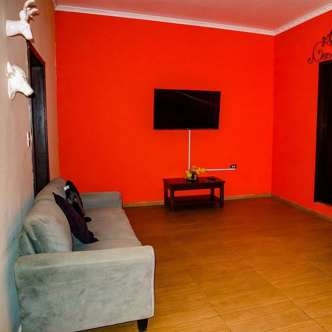 Una habitación con pared roja, sofá gris, televisor montado en la pared y una pequeña mesa con un jarrón.