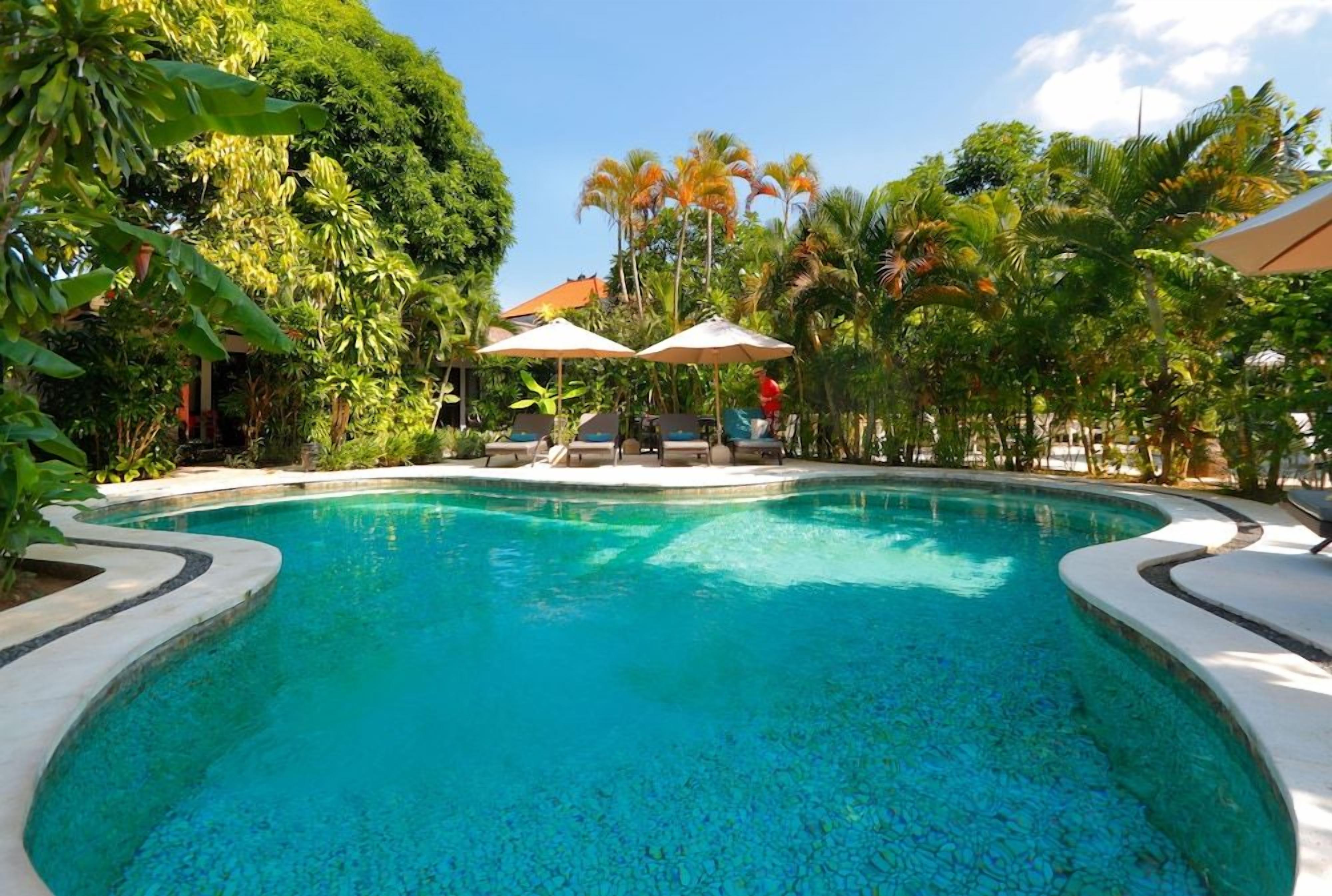 A swimming pool with a curved edge, surrounded by lush greenery and palm trees.