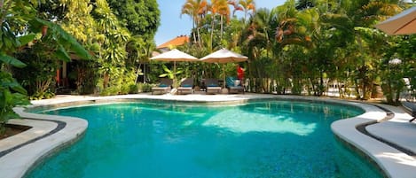 A swimming pool with a curved edge, surrounded by lush greenery and palm trees.
