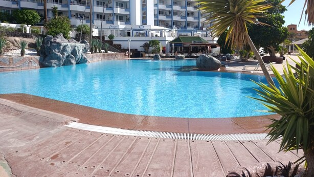 En swimmingpool med træterrasse, omgivet af palmer og sten.
