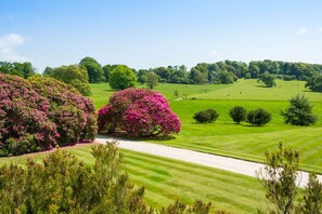 A golf course with manicured lawns, trees, and a clear sky.