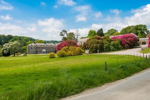 A large estate with a prominent building, lush green fields, and flowering trees.