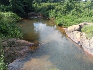 A natural water body surrounded by dense greenery.