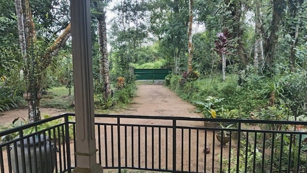Caminho serpenteando por um jardim exuberante, com cerca de metal e portão verde.