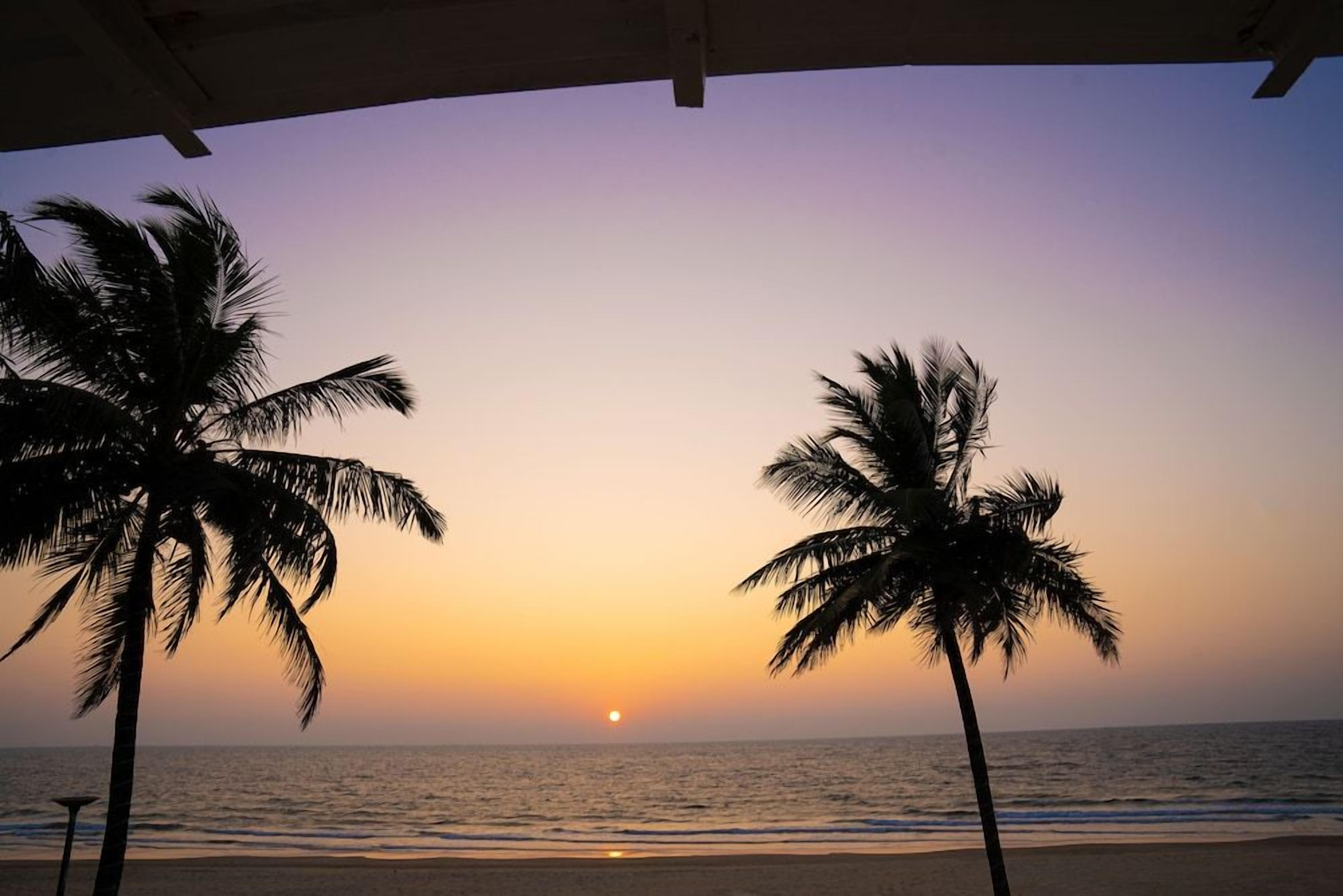 A beach scene with two palm trees and a sunset over the ocean.